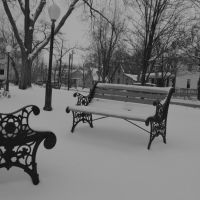 Snowy Park, Арлингтон-Хейгтс