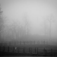 Boreman Hill Fog, Белпр