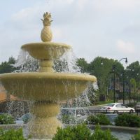 The Fountain at the Legacy Village, Бичвуд