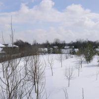 Snow in April, Бичвуд