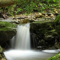 Hoffman Branch in Clifty Falls State Park Madison, IN, Виллугби-Хиллс
