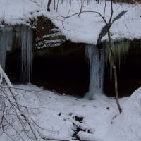 Ice Falls Lake Hope State Park, Залески
