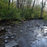 Threatened water quality, red bird hollow, Nature Conservancy, Village of Indian Hill, Ohio, Индиан Хилл