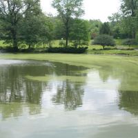 Pond at Lakeview Cemetery, Ист-Кливленд