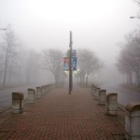 Lincoln Park Fog 2, Кеттеринг