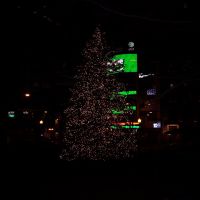 Columbus Ohio- Ohio Statehouse Christmas Tree, Колумбус