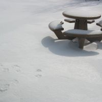Snowy Table, Марбл-Клифф