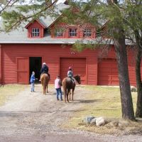 Horse Barn, Ментор