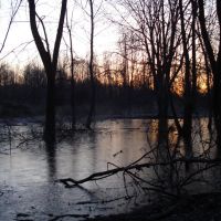 Frozen swamp - Chagrin River Park, Ментор