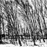 Morrow County Winter 2013, Нью-Ригель