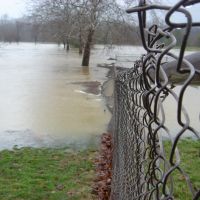 Chain Link in Flood, Ньютаун