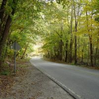 road oneil woods, Пенинсула