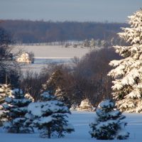 View from Philips Christmas Tree Farm, Полк