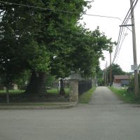 Graveyard Alley, Прокторвилл
