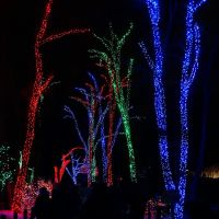 Toledo Zoo Lights, Россфорд