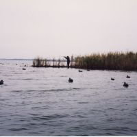 Duck Hunting Indian Island, Харбор-Вью