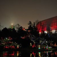 Christmas Lights at the Myriad Botanical Gardens, Бартлесвилл