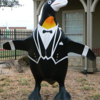 Tuxedo Penguin, Гленпул