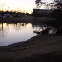 The Duck Pond 1, Норман