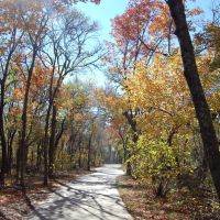 Fall at Arbor Hills Park, Plano, TX, Олбани