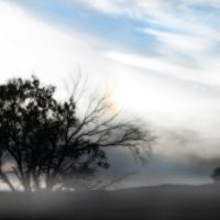 Tree and clouds, Форт-Силл