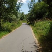 Fanno Creek Park walking trail, Бивертон