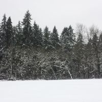 January 2014 Snow, Сант-Хеленс