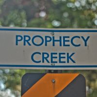 Prophecy Creek, Амблер