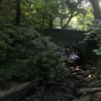 Mill Creek tributary near Cherry Lane, Wynnewood, PA, Ардмор