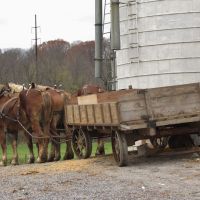 Noble Road Amish Wagon, Атглен
