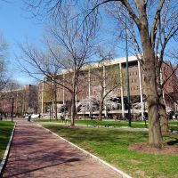 Penn campus in the early spring, Белмонт