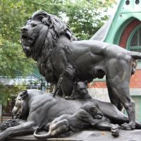 Philadelphia Zoo Lion sculpture, Белмонт
