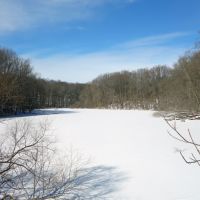 Frozen reservoir on Crum Creek, Ridley Creek State Park #1, Брумалл