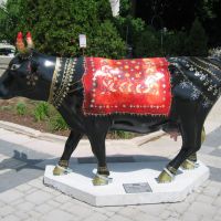 Kaamdhenu - Indian Holy Cow (1), Гаррисберг
