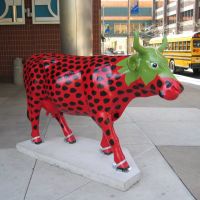 Strawberry Cow (1), Гаррисберг