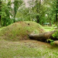 Kerr Park - Fallen Tree, Даунингтаун