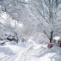Academy Avenue in blizzard, Дормонт