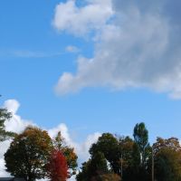 Fall View of Kinter Hill Road, Кембридж-Спрингс