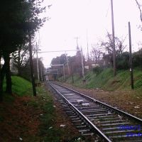 Macdade Blv trolly tracks crossing, facing south., Коллингдейл