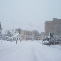 Washington Road in blizzard, Маунт-Лебанон