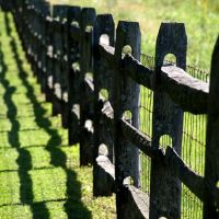 Fence Shadows, Модена