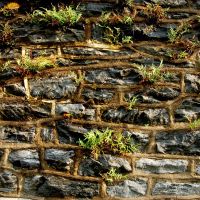 Stone Wall, Норристаун