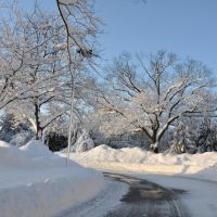 2010 winter scene in Saint Davids, PA, Раднор