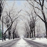 winter lurzerne street in Johnstown, Саутмонт