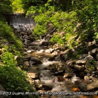 McDade Park Waterfall in Summer, Тэйлор