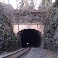Blackrock Tunnel East Entrance, Финиксвилл