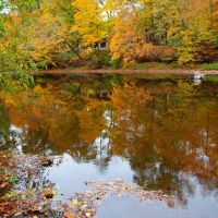 Autumn Reflection in the Perkiomen, Швенксвилл