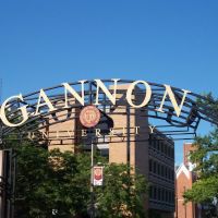 Gannon University, Эри