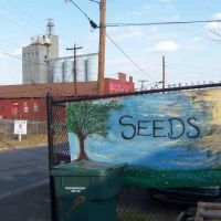 Seeds, Inc., Горман