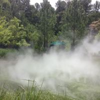 Misty Forest Feature, Горман
